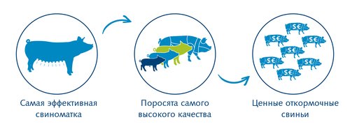 Libra proofpoints_RU