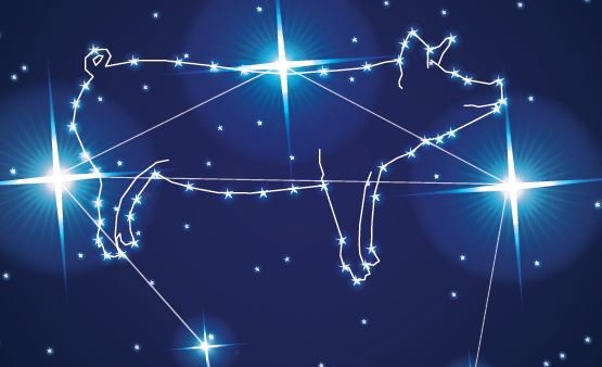 Hypor Libra* Shines Brightly